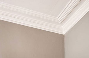 Plastering and Coving Warrington