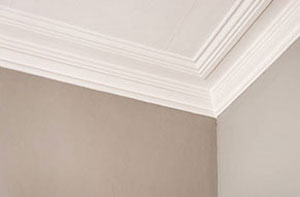 St Andrews Plastering and Coving